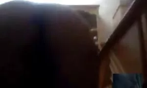 उफ़! पिताजी, क्या तुम मुझे गोली सेक्सी भोजपुरी फिल्म वीडियो मार किया था, और अगर माँ इस नोट को देखने