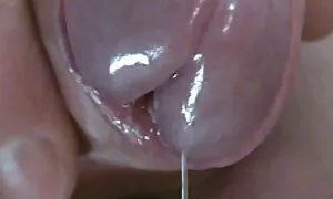 पूल सेक्सी वीडियो फिल्म भोजपुरी क्लीनर घर में एक महिला बकवास